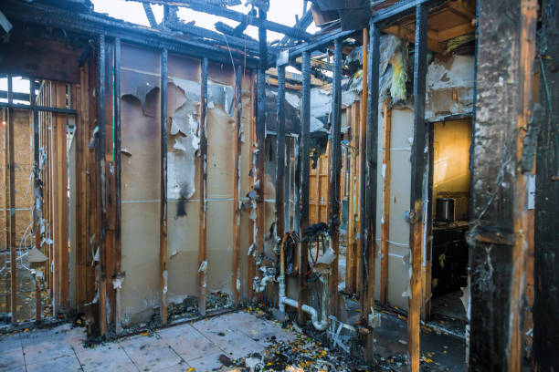 Professional Soot Cleanup technician working in Gibsonton, FL